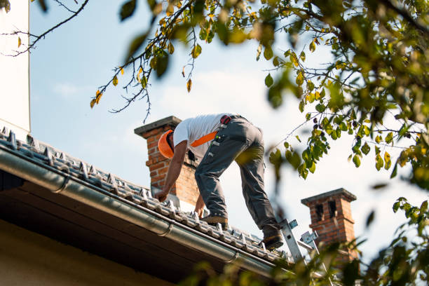 Professional Roofing Contractor in Tioga, ND