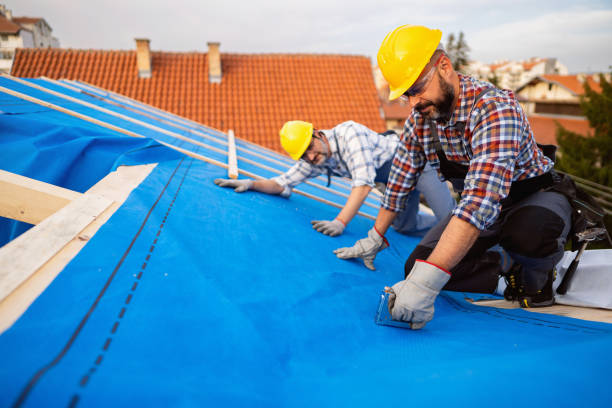 Best Residential Roofing Contractor  in Tioga, ND