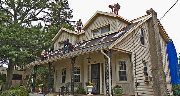 Best Shingle Roofing Installation  in Tioga, ND