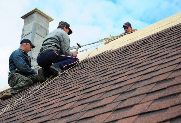 Best Metal Roofing Contractor  in Tioga, ND